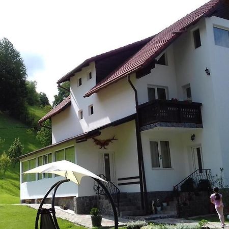 Pensiunea Vladut Bran (Brasov) Exterior foto