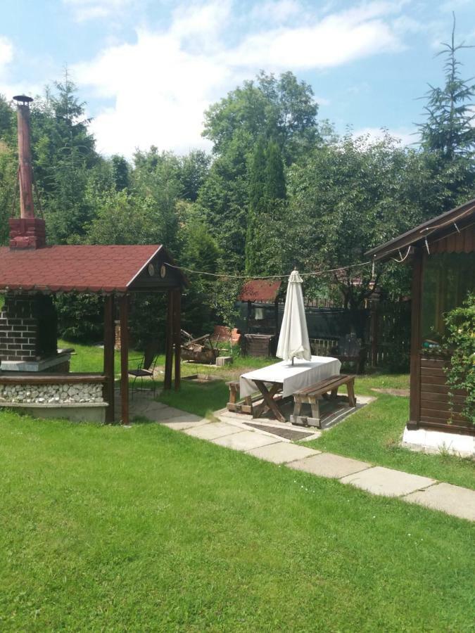 Pensiunea Vladut Bran (Brasov) Exterior foto