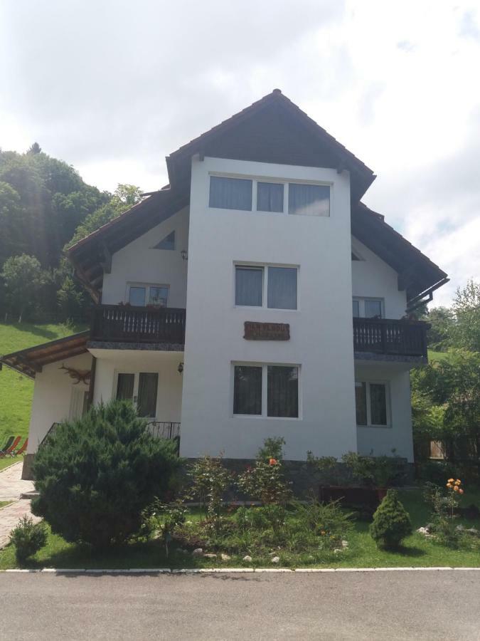 Pensiunea Vladut Bran (Brasov) Exterior foto